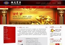 长沙网站制作案例,长沙网站建设案例:长沙市骊龙贸易有限公司
